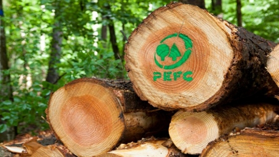 La certificación forestal gana protagonismo como llave para acceder a los mercados internacionales