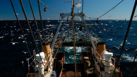 El gobierno de Río Negro impulsa una nueva ley de pesca