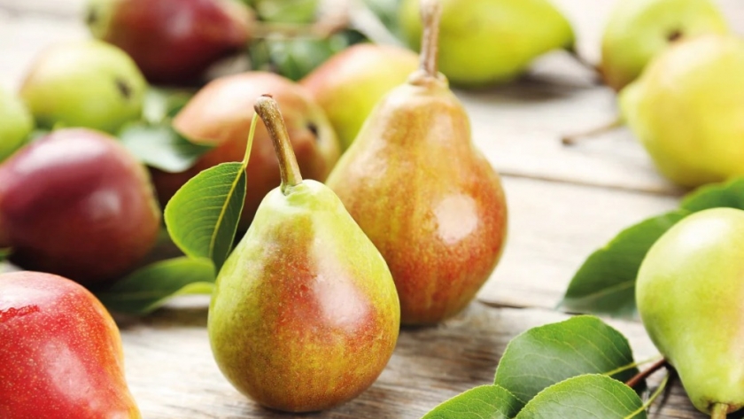 Exportaciones de peras: 2025 cerró por debajo de lo esperado pese a un inicio alentador