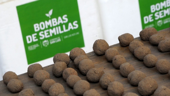 El Gobierno elabora más de 20 mil bombas de semillas para realizar una siembra aérea en la Cuenca El Morro