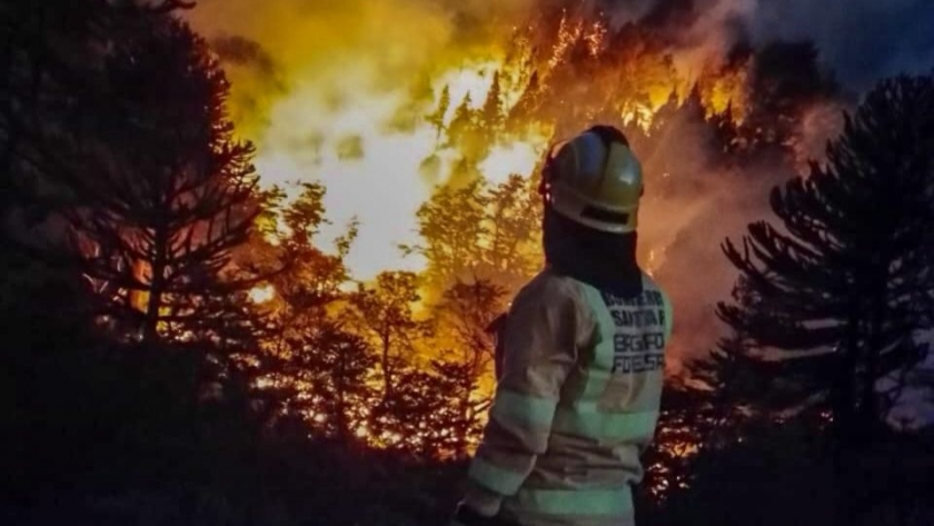 Brigadistas santafesinos continúan combatiendo focos de incendio al pie del volcán Lanín