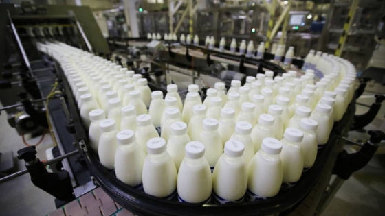 Brasil: precios internacionales de los lácteos mantienen secuencia de alza
