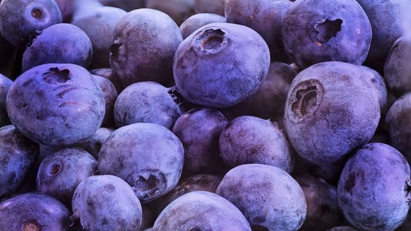 Lanzan concurso de productos innovadores con arándanos