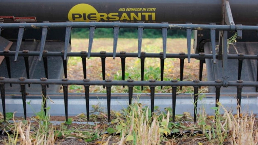 El cabezal hilerador de legumbres evita una pérdida de hasta 150 kilos por hectárea