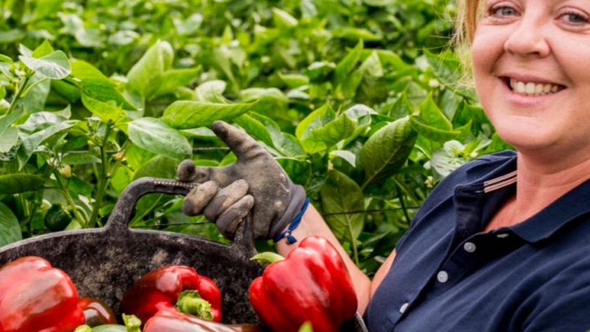 Agricultura prorrogó hasta el 20 de diciembre la convocatoria del programa En Nuestras Manos