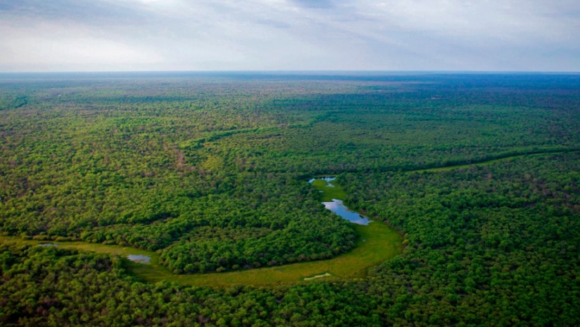 Conociendo el Parque Nacional El Impenetrable Agroempresario