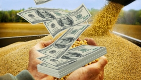 El valor de la soja y el maíz no para de subir