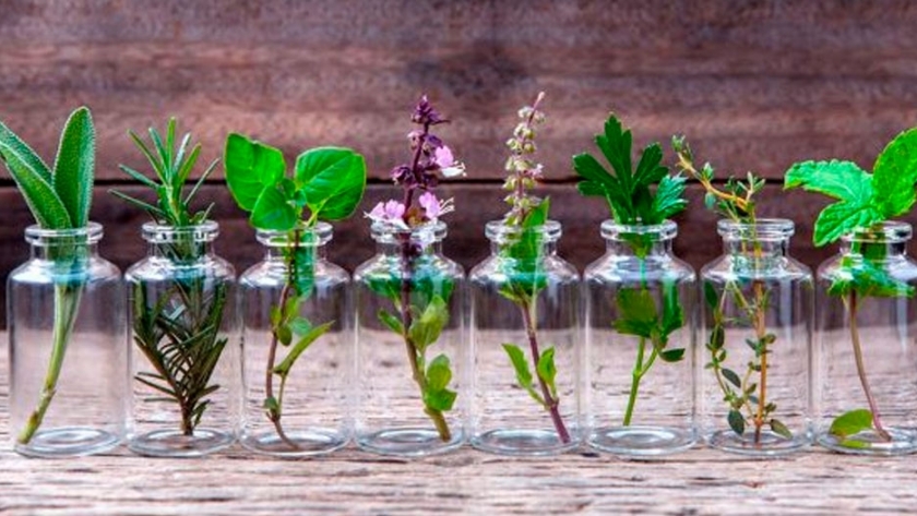 El mercado de las aromáticas