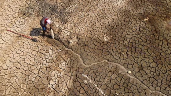 Pronóstico climático: no se espera La Niña y el agro respira aliviado