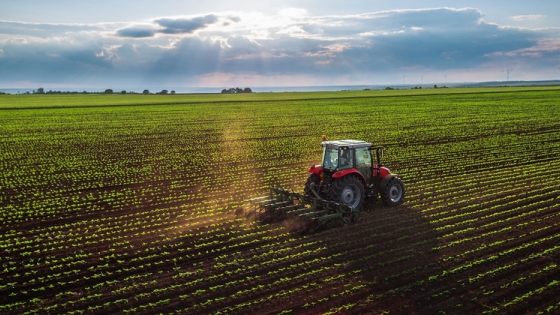 Agricultura: Francia sometida a eco-esquemas