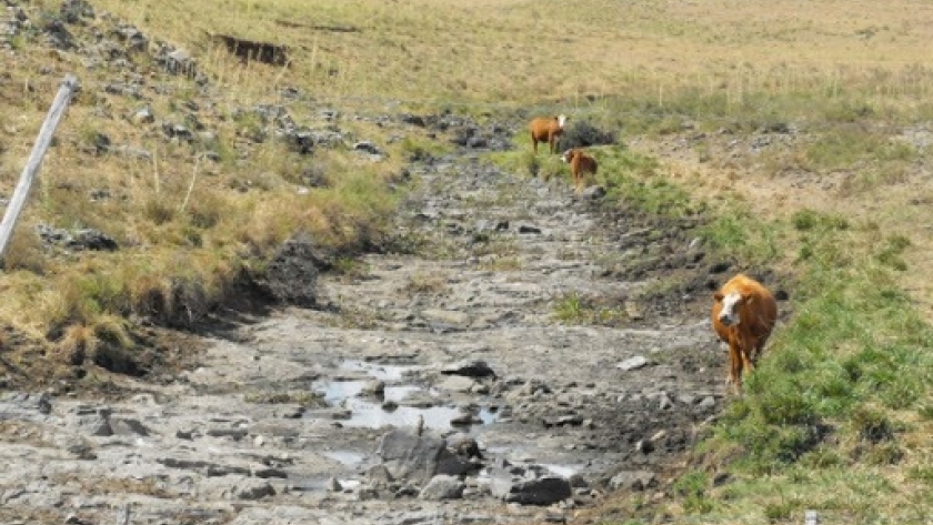 Ministerio de Ganadería extendió la Emergencia Agropecuaria por sequía