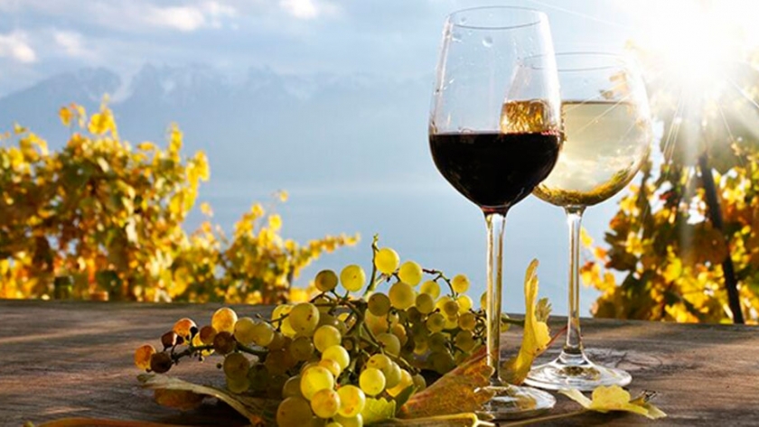 Salta: impulsan la exportación de vinos al mercado asiático
