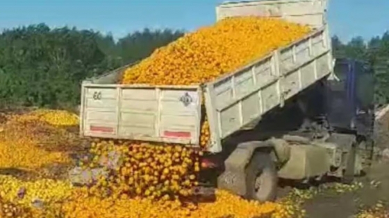 “Lo peor que te puede pasar es tirar tu producción”, dicen productores que descartaron 8000 kilos de fruta