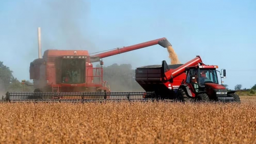 El campo y el sector agroalimentario esperan que Javier Milei unifique el mercado cambiario
