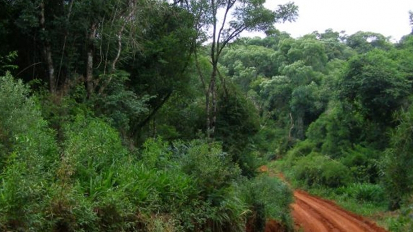El Ministerio inició el ciclo de gobernanza ambiental con municipios de Misiones