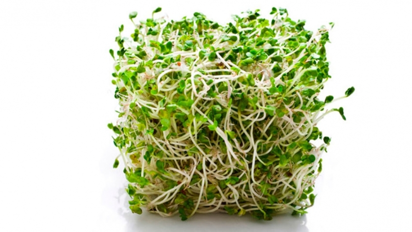 Producción con valor agregado: alfalfa y nuez