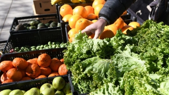 Ahorro en frutas y verduras: cómo elegir el mejor precio en cada local
