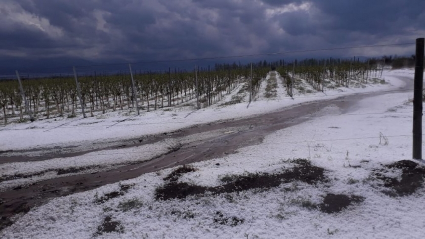 Está vigente el programa de asistencia económica frente a contingencias climáticas