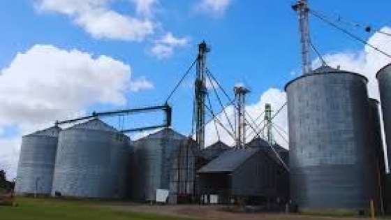 Cosecha sin cruces: claves para evitar mezclas de granos y proteger los mercados