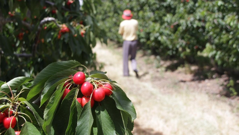 Agricultura invertirá más de 42 millones de pesos para familias productoras de Neuquén