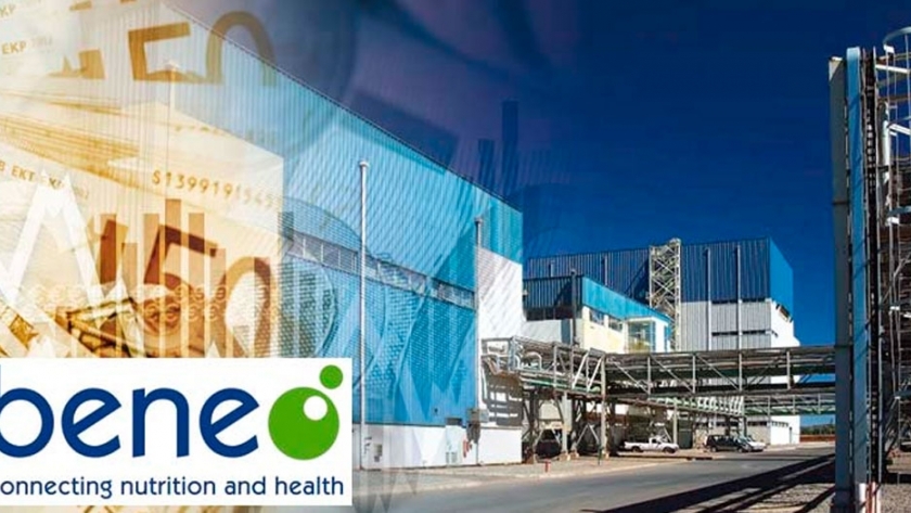 Beneo invierte 50 millones en su planta chilena de raíz de achicoria