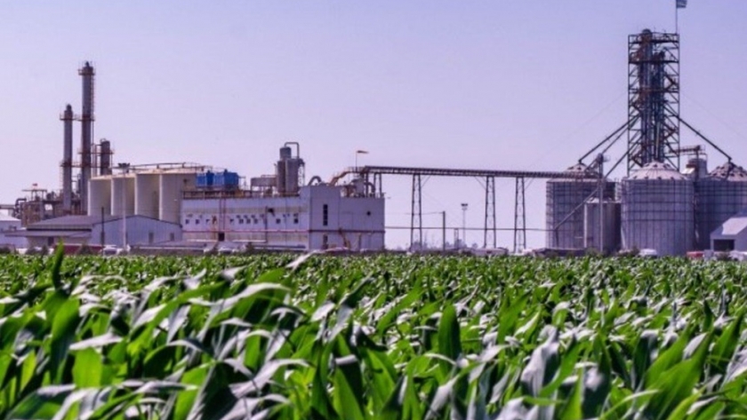 Biocombustibles: una oportunidad para el desarrollo federal
