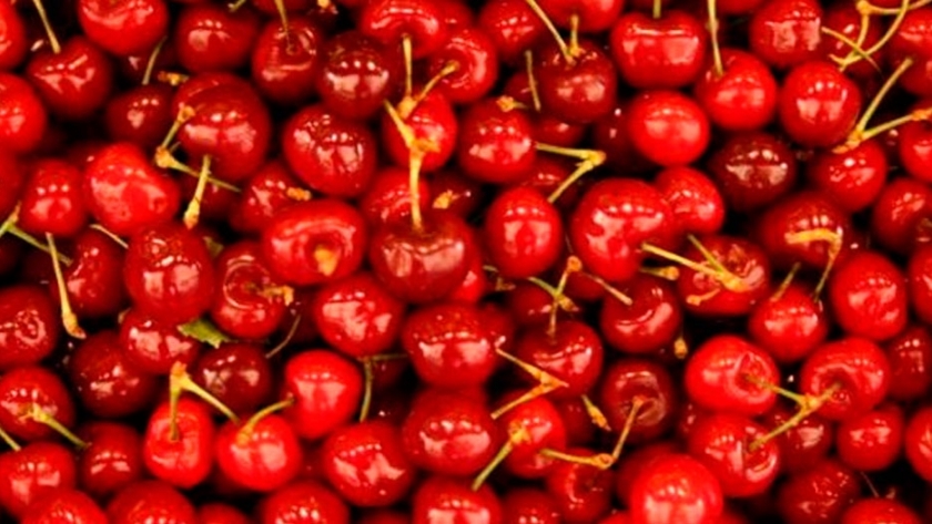 Diseñan sensores electrónicos para detectar daños en cerezas