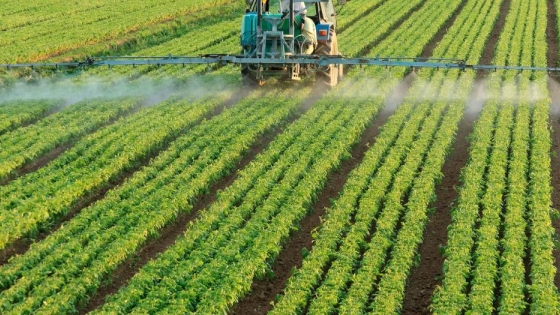 Entidades del agro rechazan la medida judicial que restringe el uso de agroquímicos