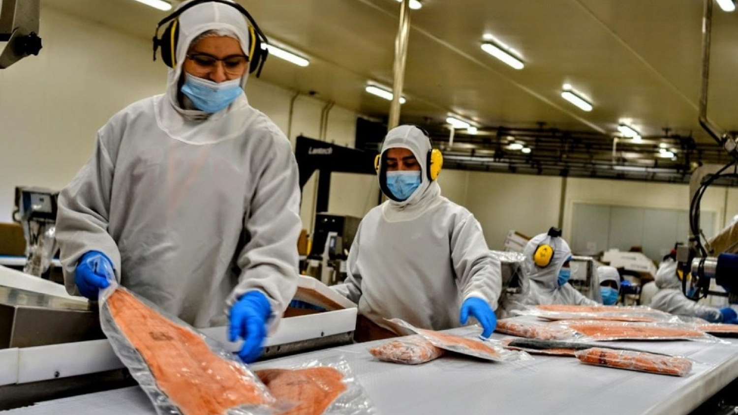 El Senasa actualiza el sistema de exportaciones pesqueras y agiliza la habilitación de mercados internacionales