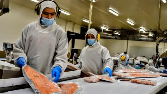 El Senasa actualiza el sistema de exportaciones pesqueras y agiliza la habilitación de mercados internacionales