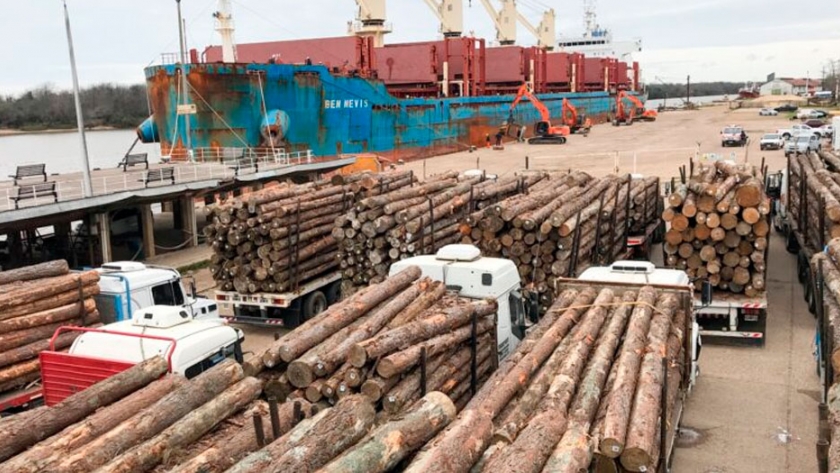 La exportación en puertos entrerrianos ha generado más de 3.000 millones de pesos