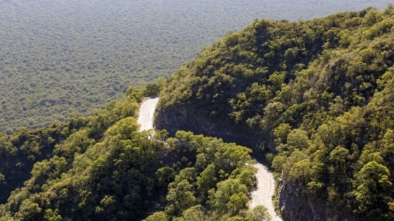 Conservar como estrategia: una ONG compró casi 50 mil hectáreas para ampliar un parque nacional en Córdoba