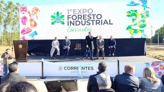 Corrientes invierte US$ 100 millones y se posiciona como potencia forestoindustrial del Cono Sur
