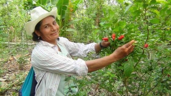 La Curva Río Negro: agricultura sostenible para contribuir a la seguridad alimentaria