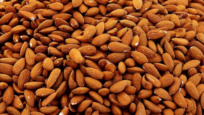Asistencia financiera para ampliar la producción de almendras en Senillosa