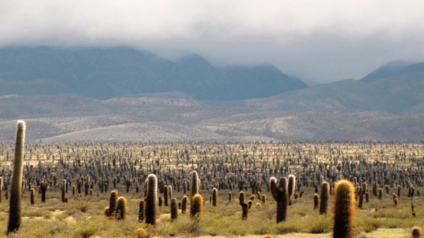 La Argentina protege poco y de forma desigual sus áreas naturales