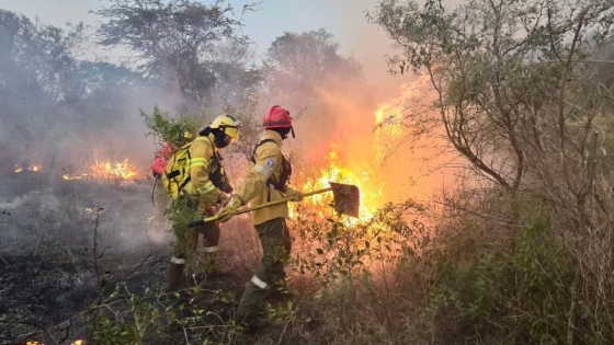 Corrientes enfrenta una crisis ambiental por los incendios: más de 139 mil hectáreas perdidas