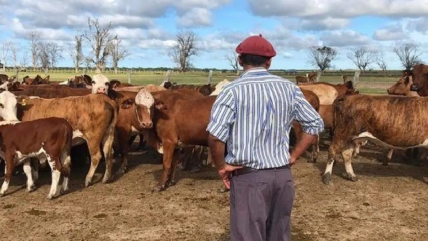 Aumento de emergencia para los trabajadores rurales