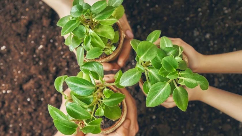 Celebramos el compromiso ambiental de las escuelas