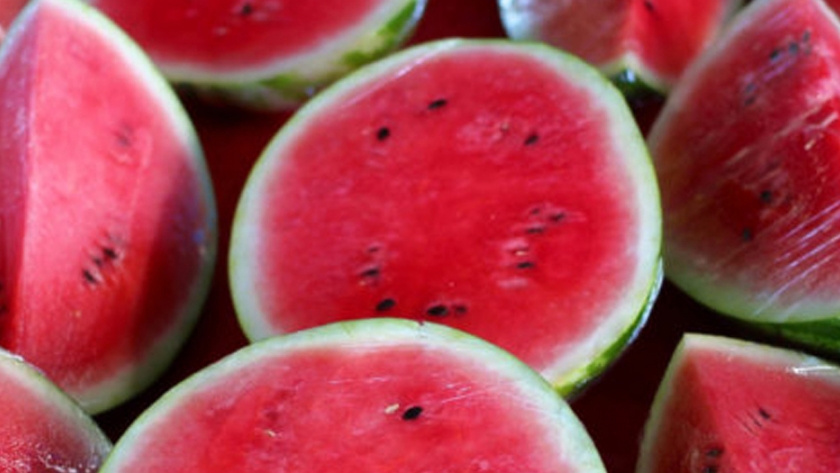 Es Jalisco segundo productor nacional de sandía