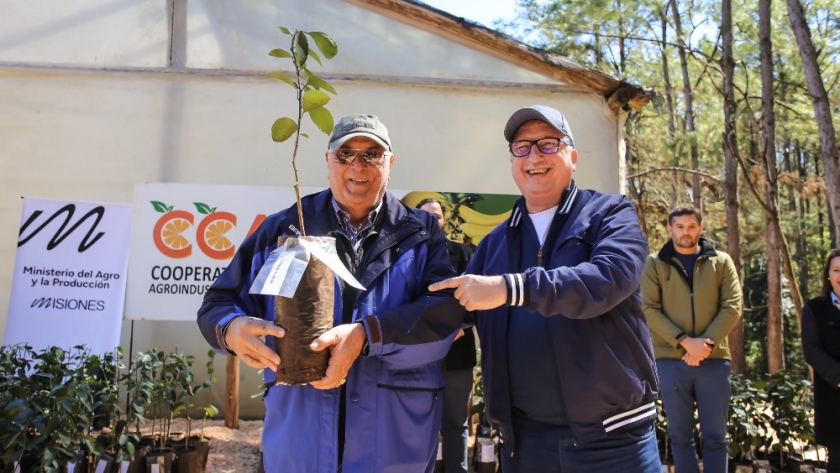 Passalacqua encabezó la entrega de más de 30.000 plantines a productores e Leandro N. Alem