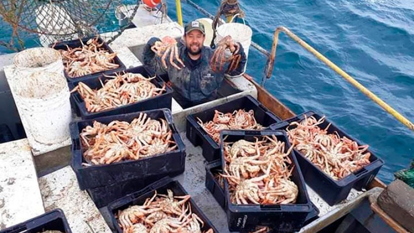 Brindan detalles sobre la pesca de centolla
