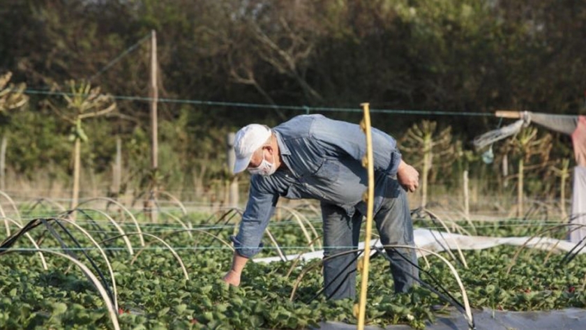 Gobierno fortalece asistencia a pequeños productores a través de los programas PISEAR y PROCANOR