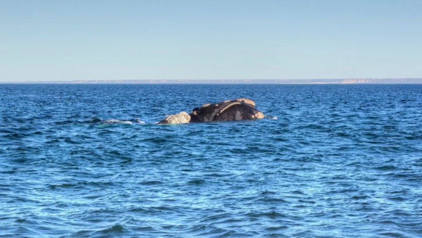 Una playa argentina fue elegida entre las 100 mejores del mundo: cuál es