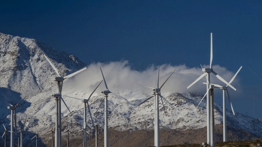 Energías renovables en Argentina: Un impulso para el sector agropecuario y su potencial a futuro