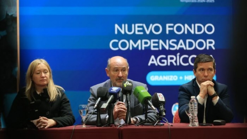 El Gobierno de Mendoza presentó en el Sur el nuevo Fondo Compensador Agrícola para la temporada 2024-2025