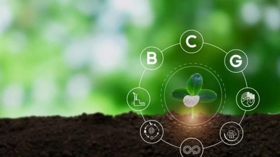 La bioeconomía: un enfoque innovador para un futuro sostenible