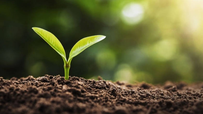 El camino hacia la producción agroecológica