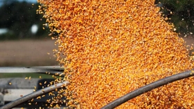 Las importaciones chinas de Maiz y Trigo en 2020 alcanzan máximos históricos
