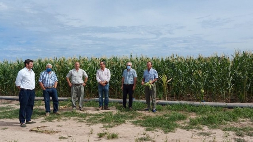 Con implantación de tecnología, empresas radicadas en Corrientes buscan ampliar la zona agrícola